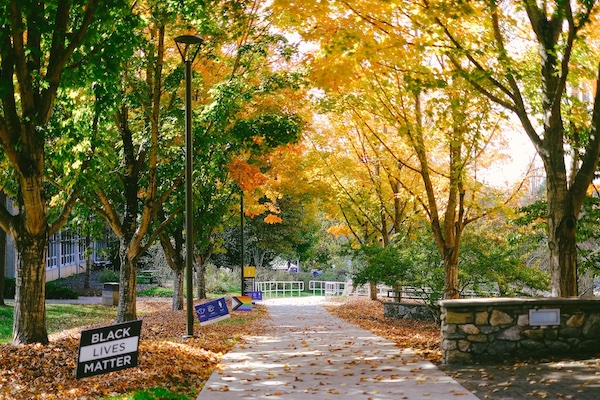 A sidewalk on the UNCA campus lined by trees turning yellow and orange in the fall.