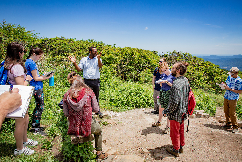 A summer field biology class