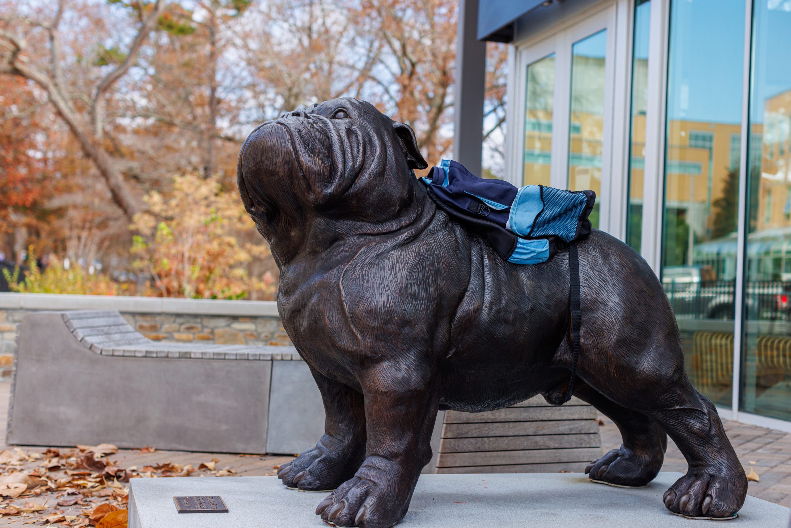 rocky statue