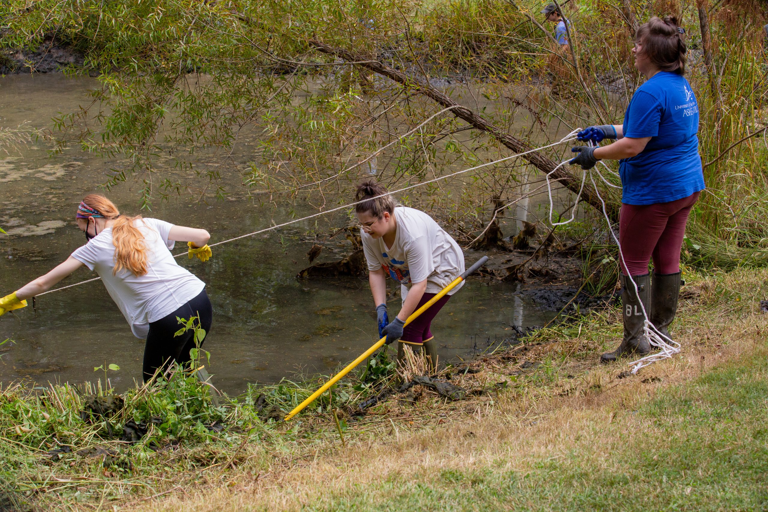 Three students working at some wetlands