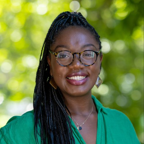 Abena Boakyewa-Ansah, Ph.D.
