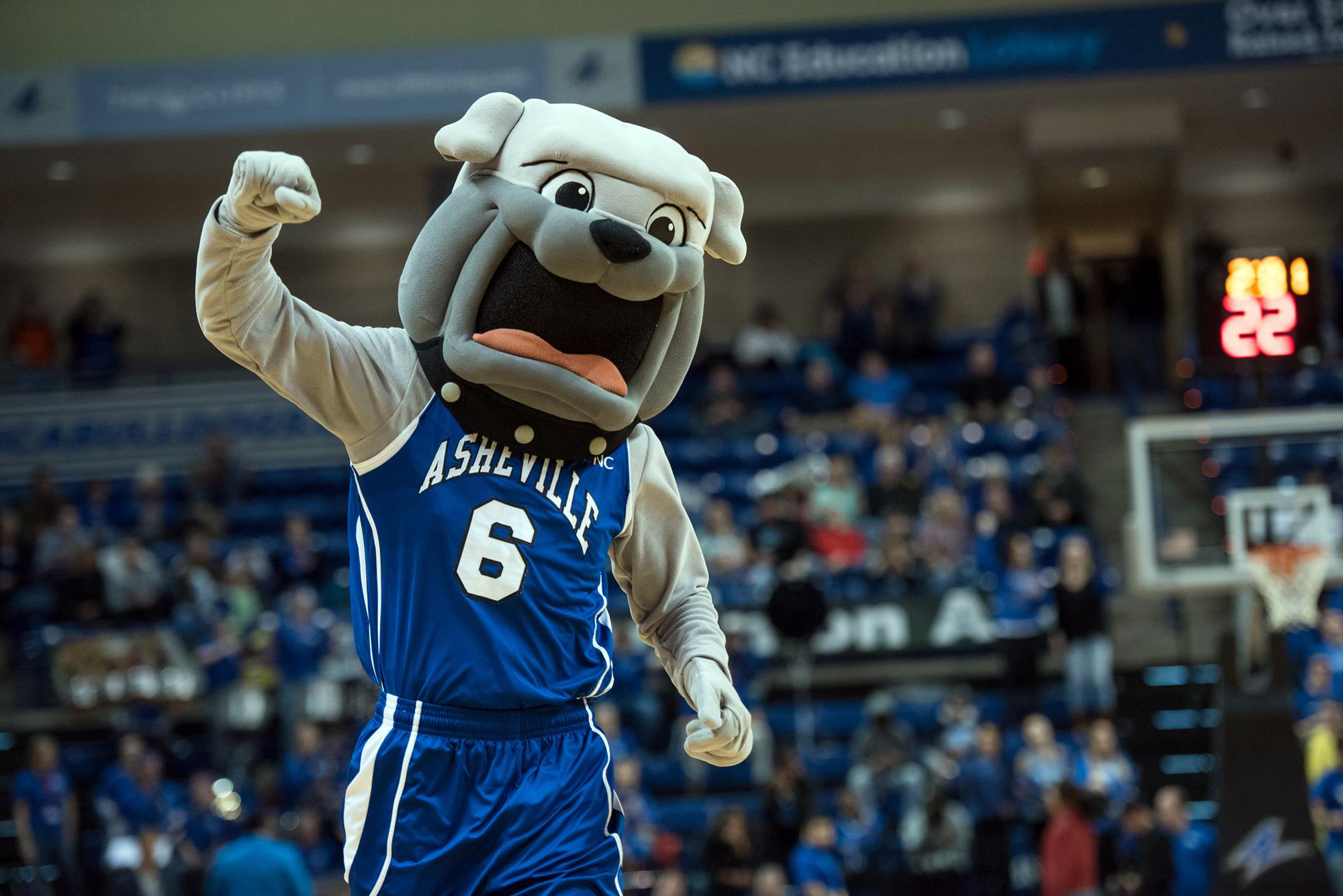 Rocky mascot at a basketball game (placeholder image)